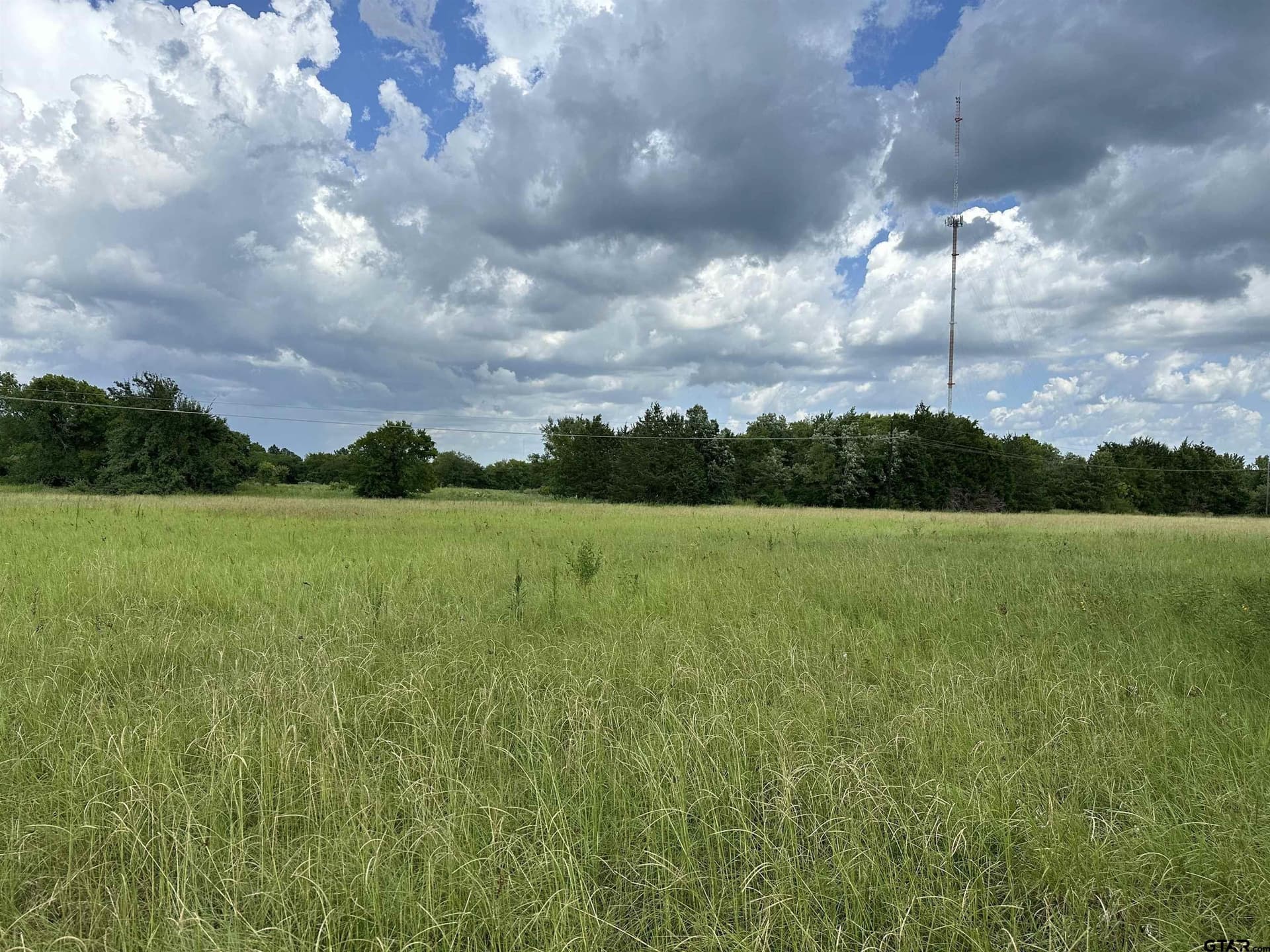 42.58 acres in Anderson County - photo 6