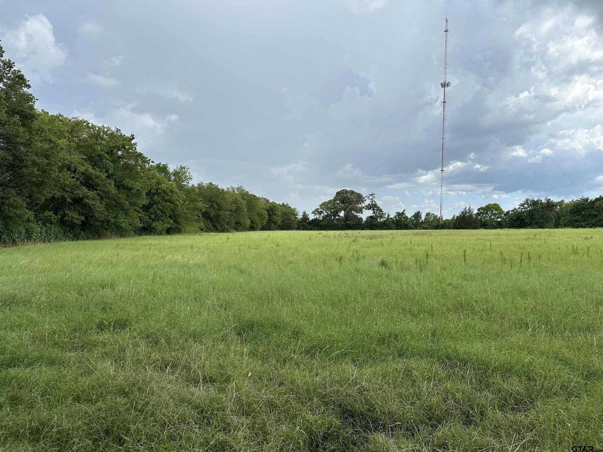 42.58 acres in Anderson County - photo 11