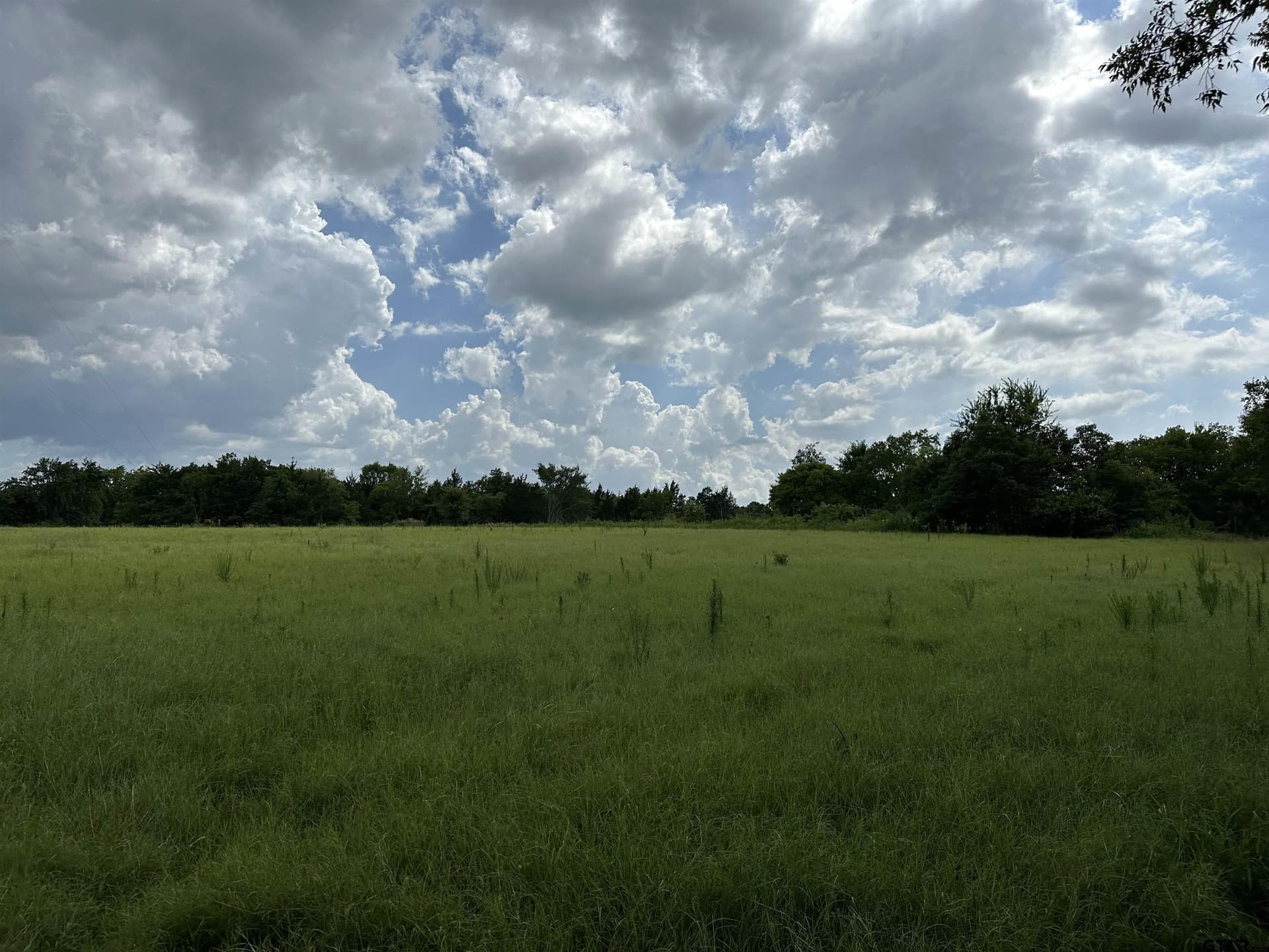 42.58 acres in Anderson County - photo 12