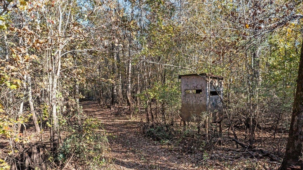 123.5 acres in Texas County - photo 9