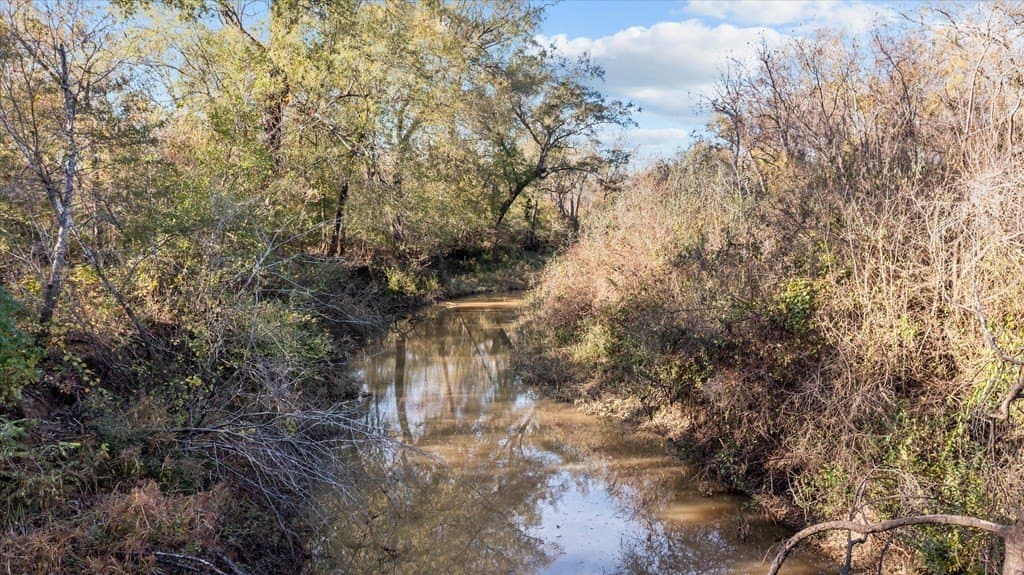 123.5 acres in Texas County - photo 7
