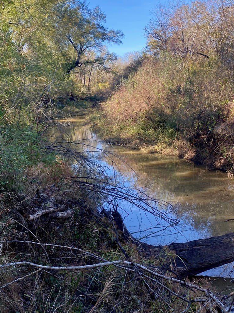 123.5 acres in Texas County - photo 15