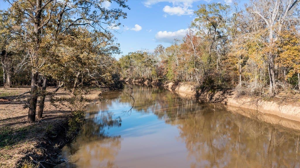 123.5 acres in Texas County - photo 12