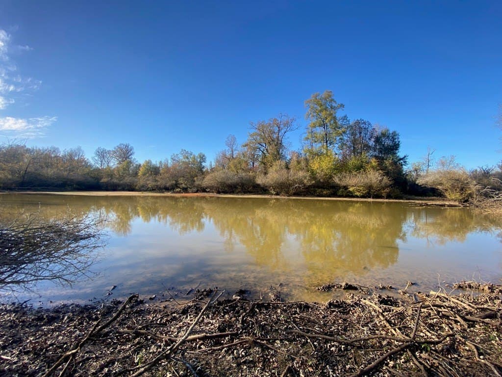 123.5 acres in Texas County - photo 21