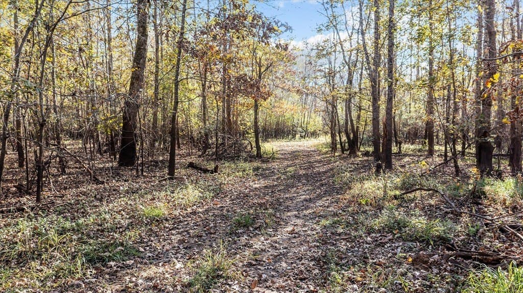 123.5 acres in Texas County - photo 8