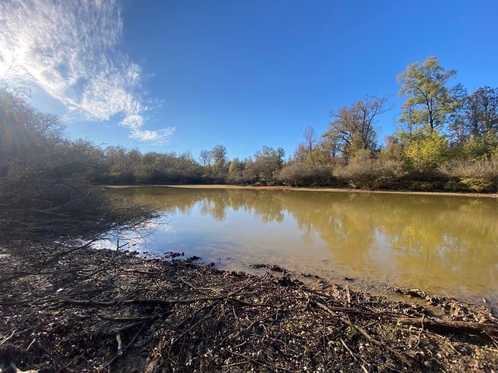 123.5 acres in Texas County - photo 23