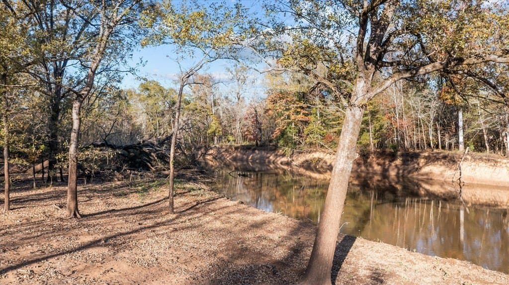 123.5 acres in Texas County - photo 2