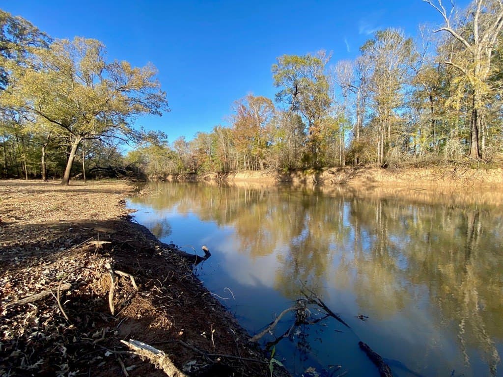 123.5 acres in Texas County - photo 26