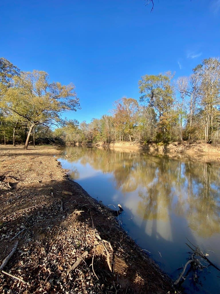 123.5 acres in Texas County - photo 24