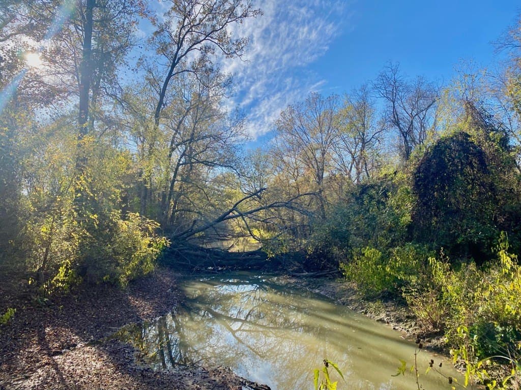 123.5 acres in Texas County - photo 17