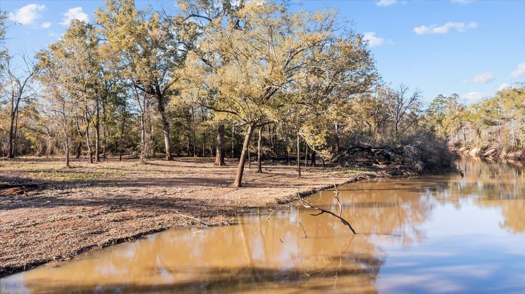 123.5 acres in Texas County - photo 13