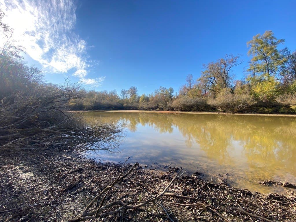 123.5 acres in Texas County - photo 22
