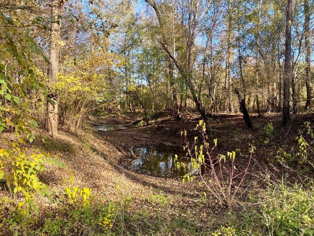123.5 acres in Texas County - photo 18