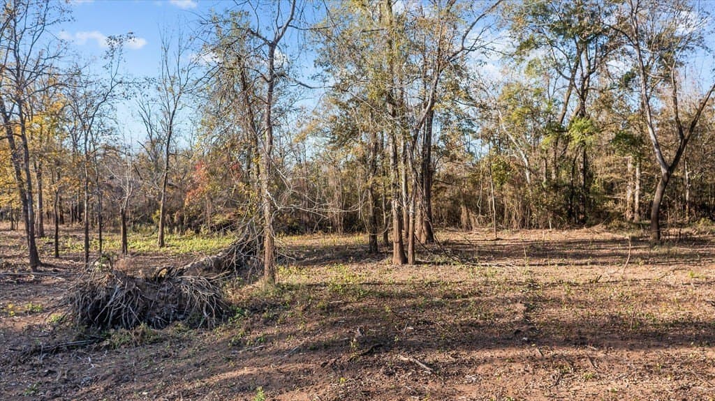 123.5 acres in Texas County - photo 14