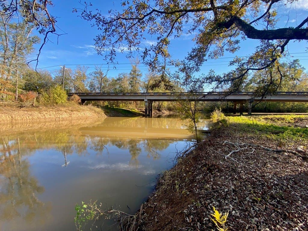 123.5 acres in Texas County - photo 25