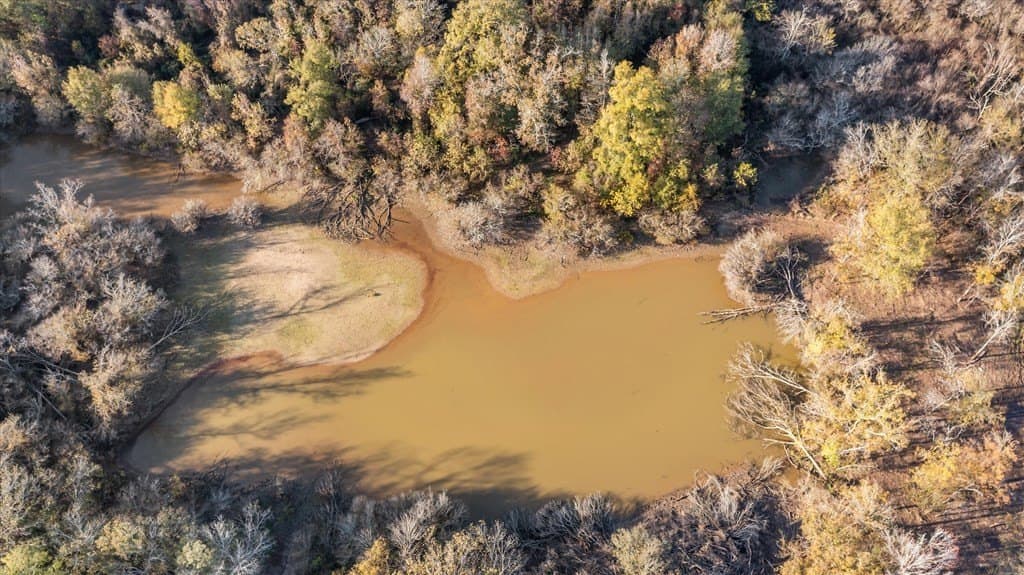 123.5 acres in Texas County - photo 3