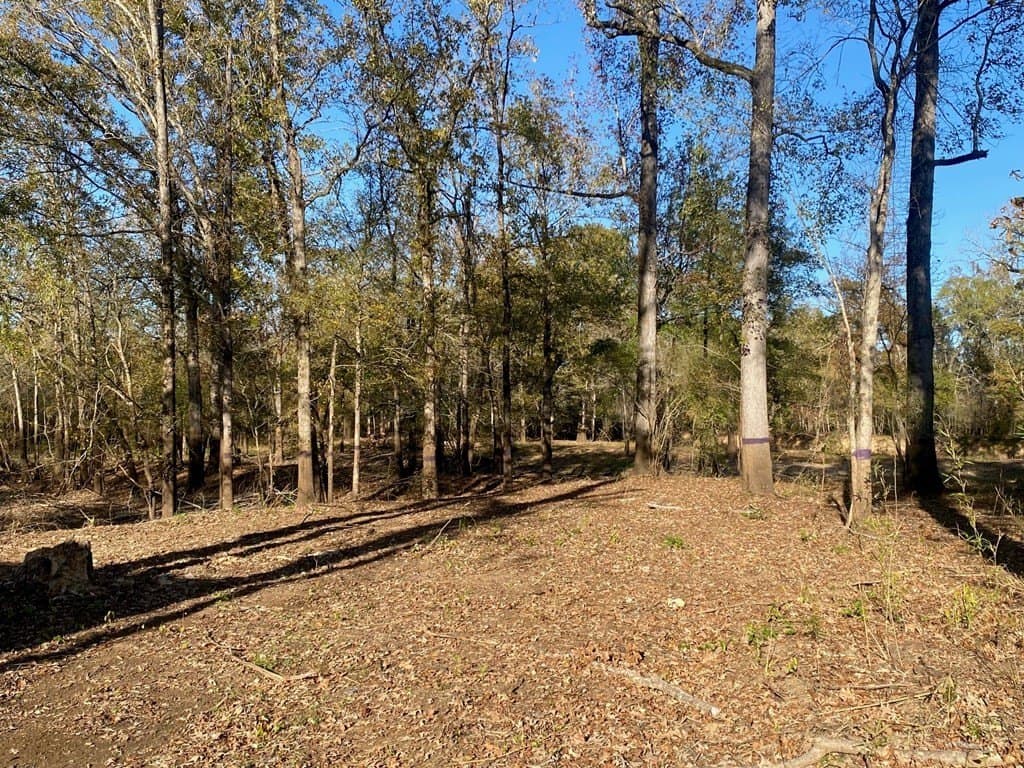 123.5 acres in Texas County - photo 20