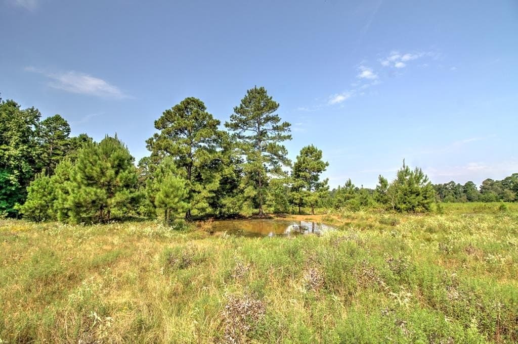 25 acres in Texas County