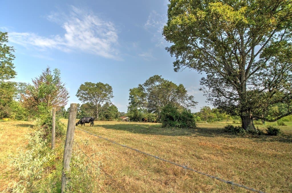 25 acres in Texas County gallery image 2