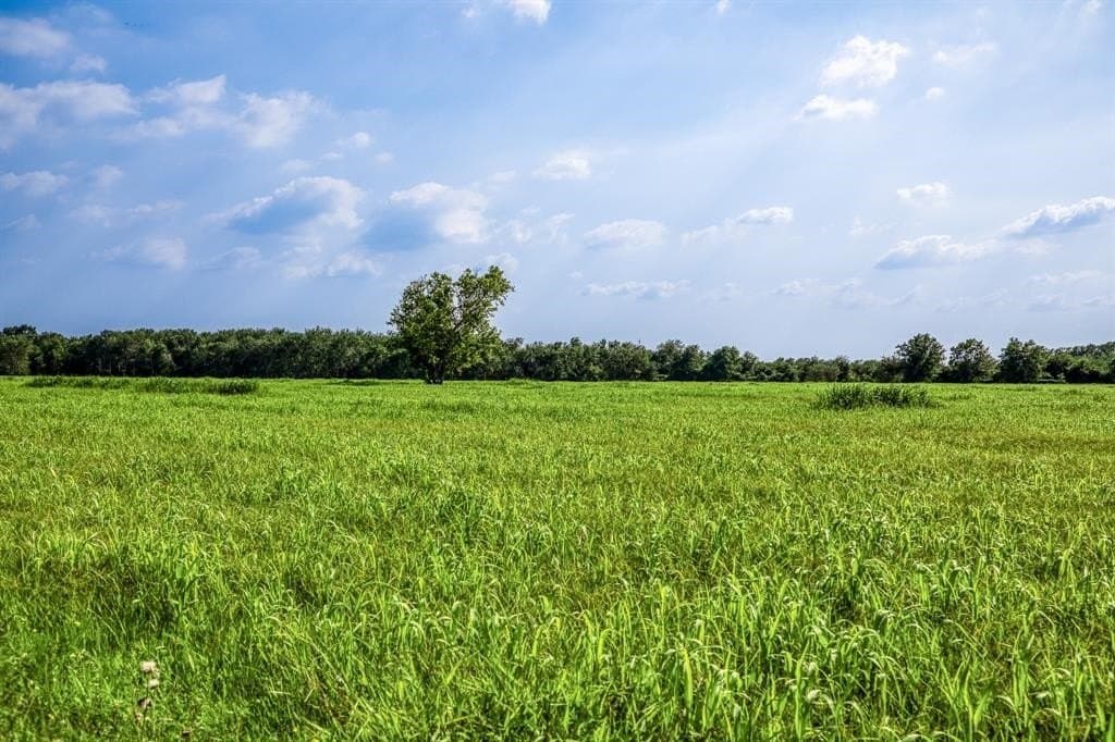 10.01 acres in Waller County - photo 20