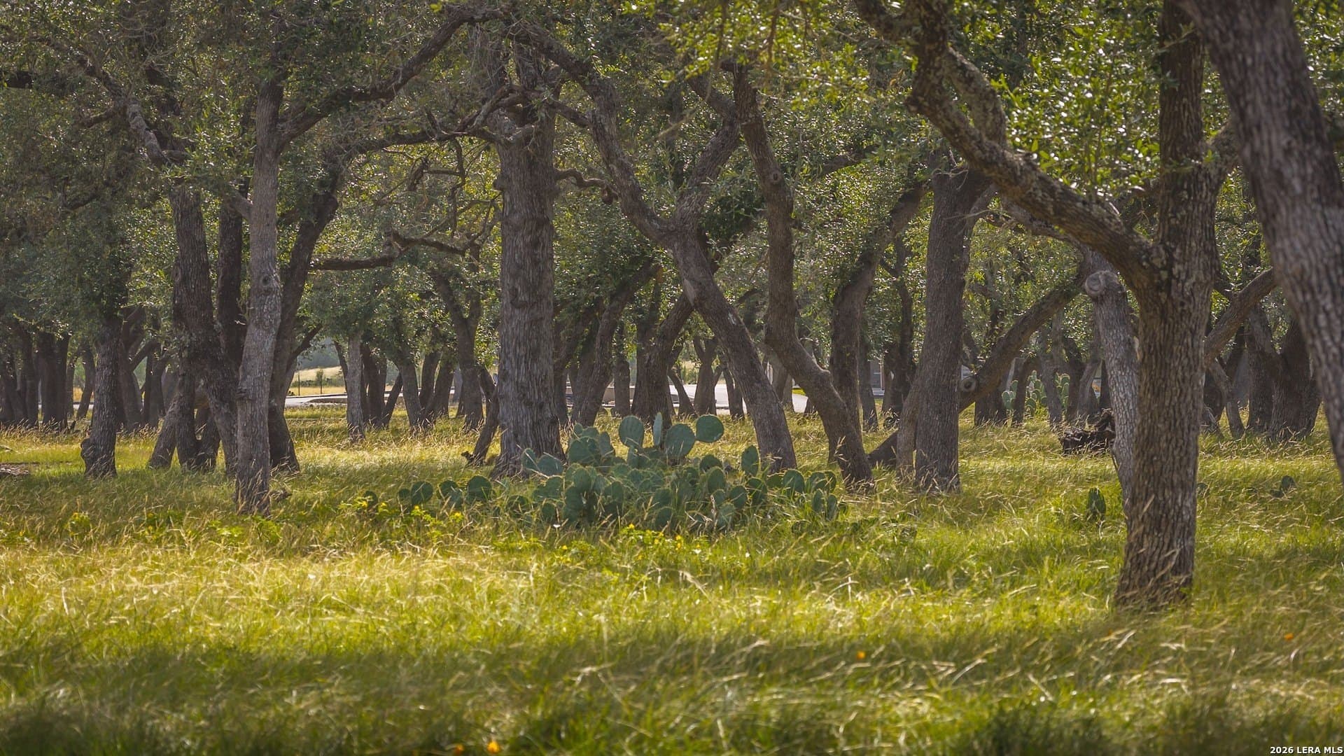 20 acres in Kendall County - photo 73