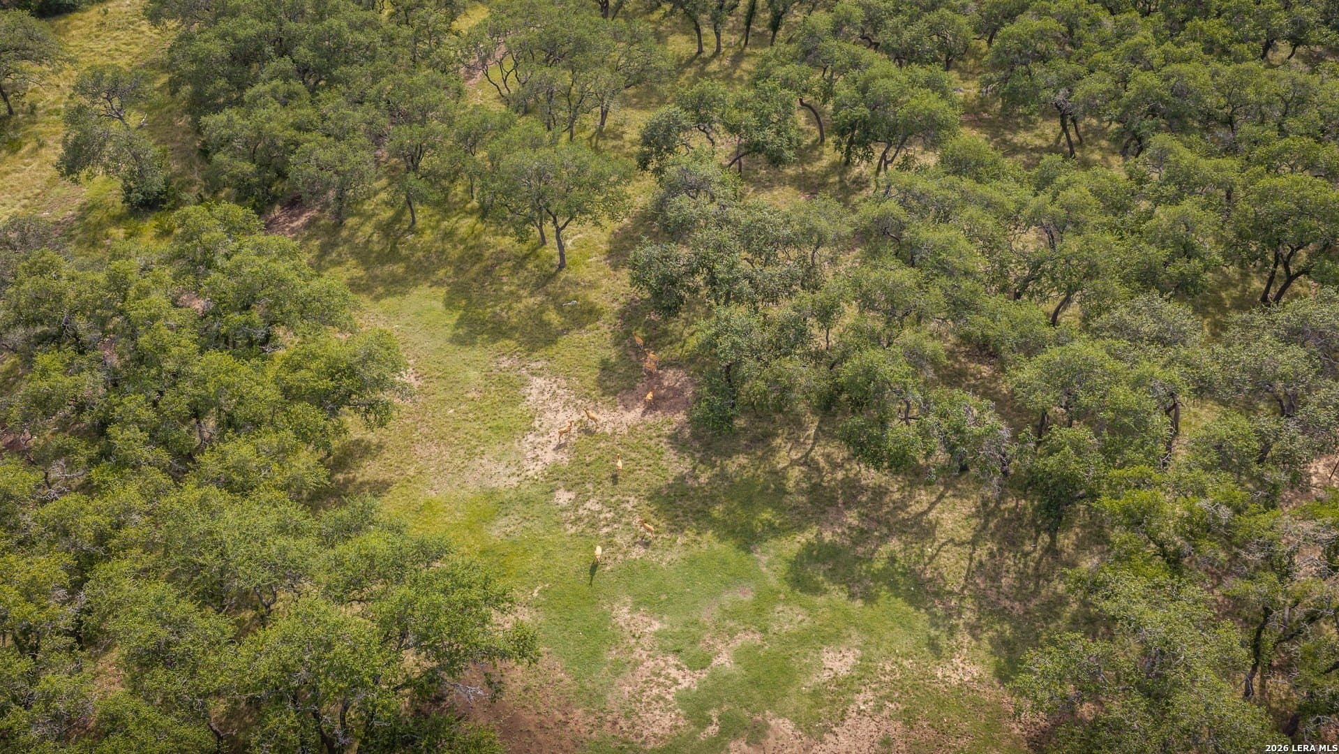 20 acres in Kendall County - photo 70