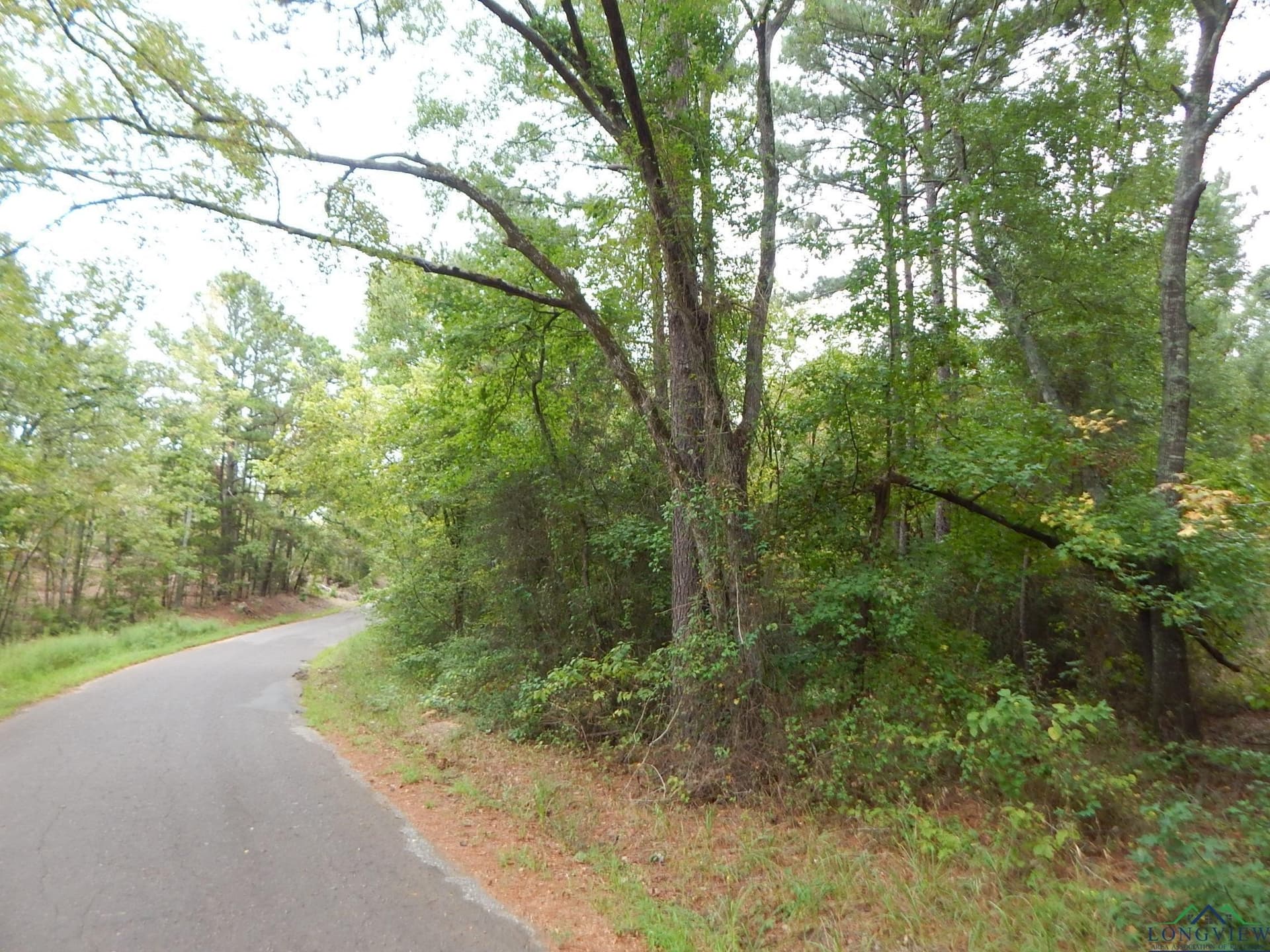 70.78 acres in Upshur County gallery image 3