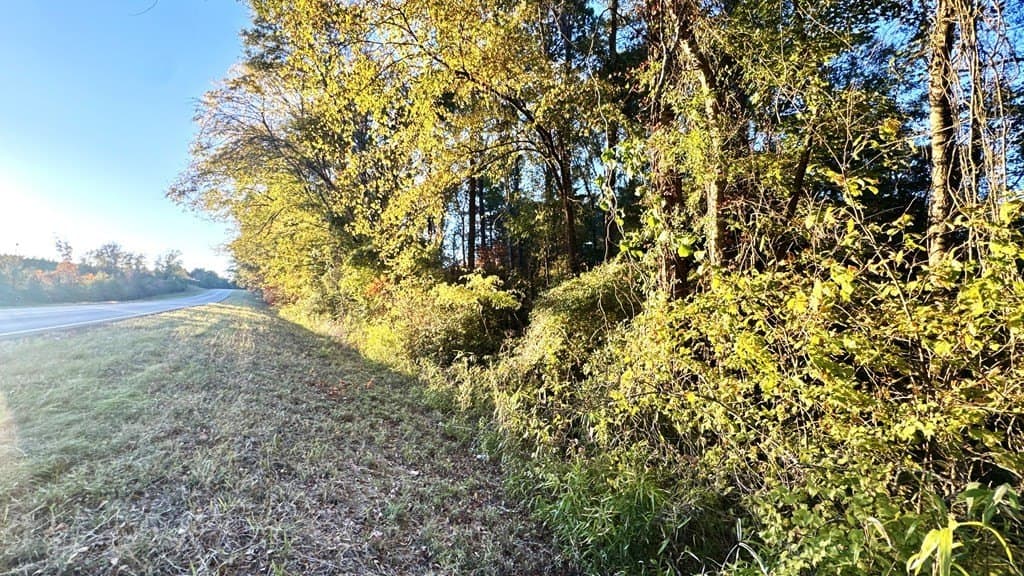 14 acres in Texas County featured view