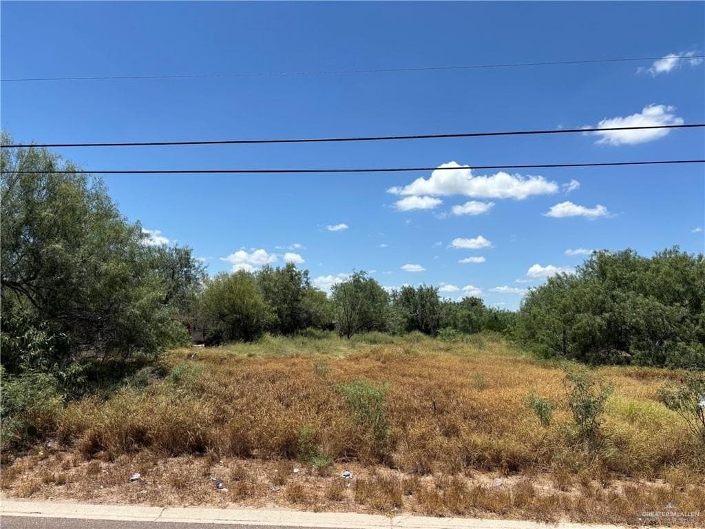 0.5 acres in Jim Hogg County gallery image 2