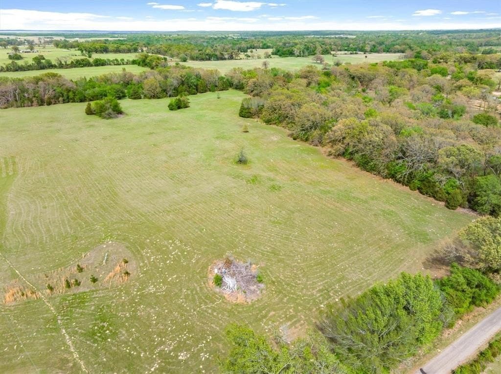 20 acres in Van Zandt County gallery image 3