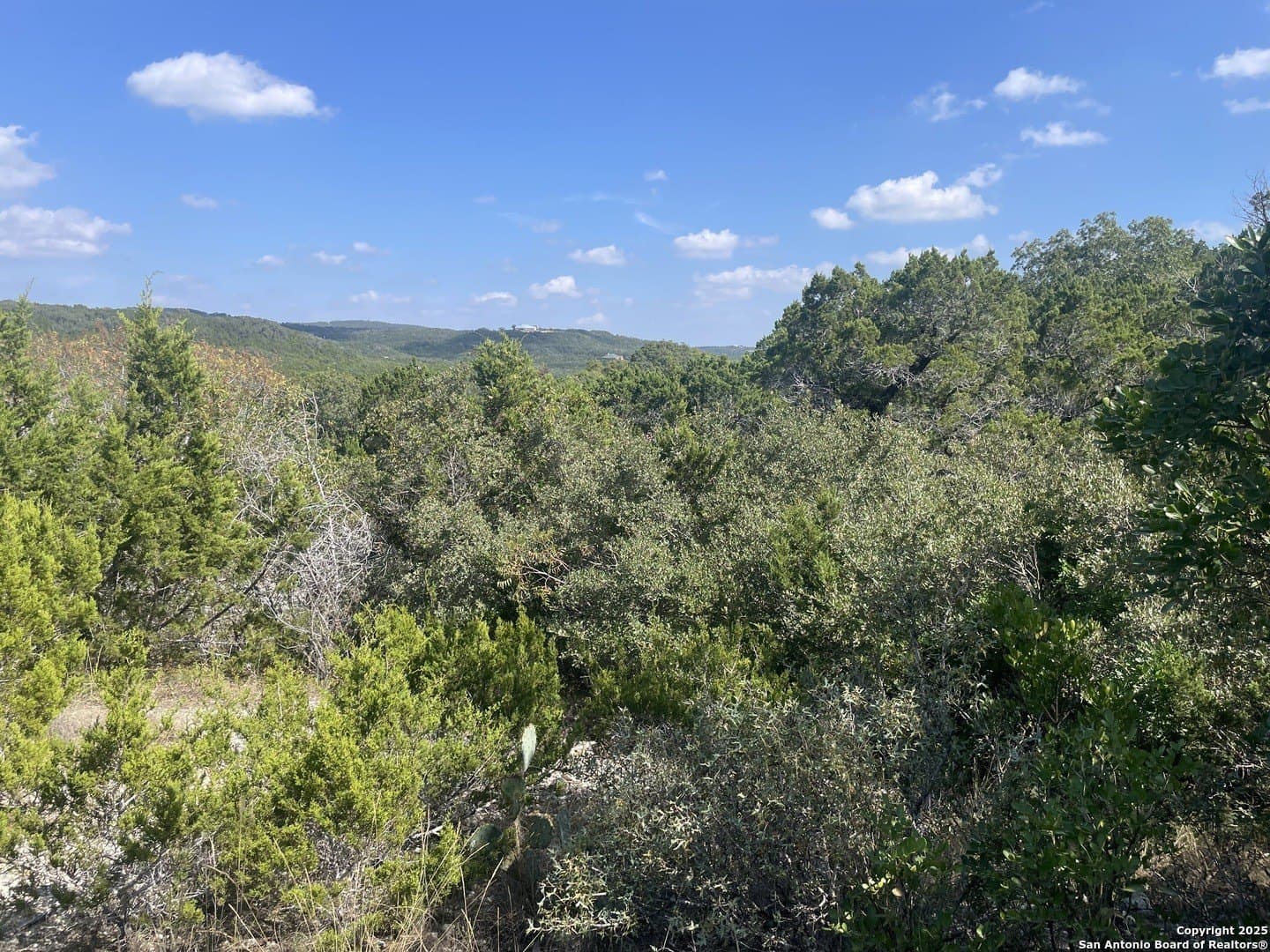 1.8 acres in Medina County - photo 6