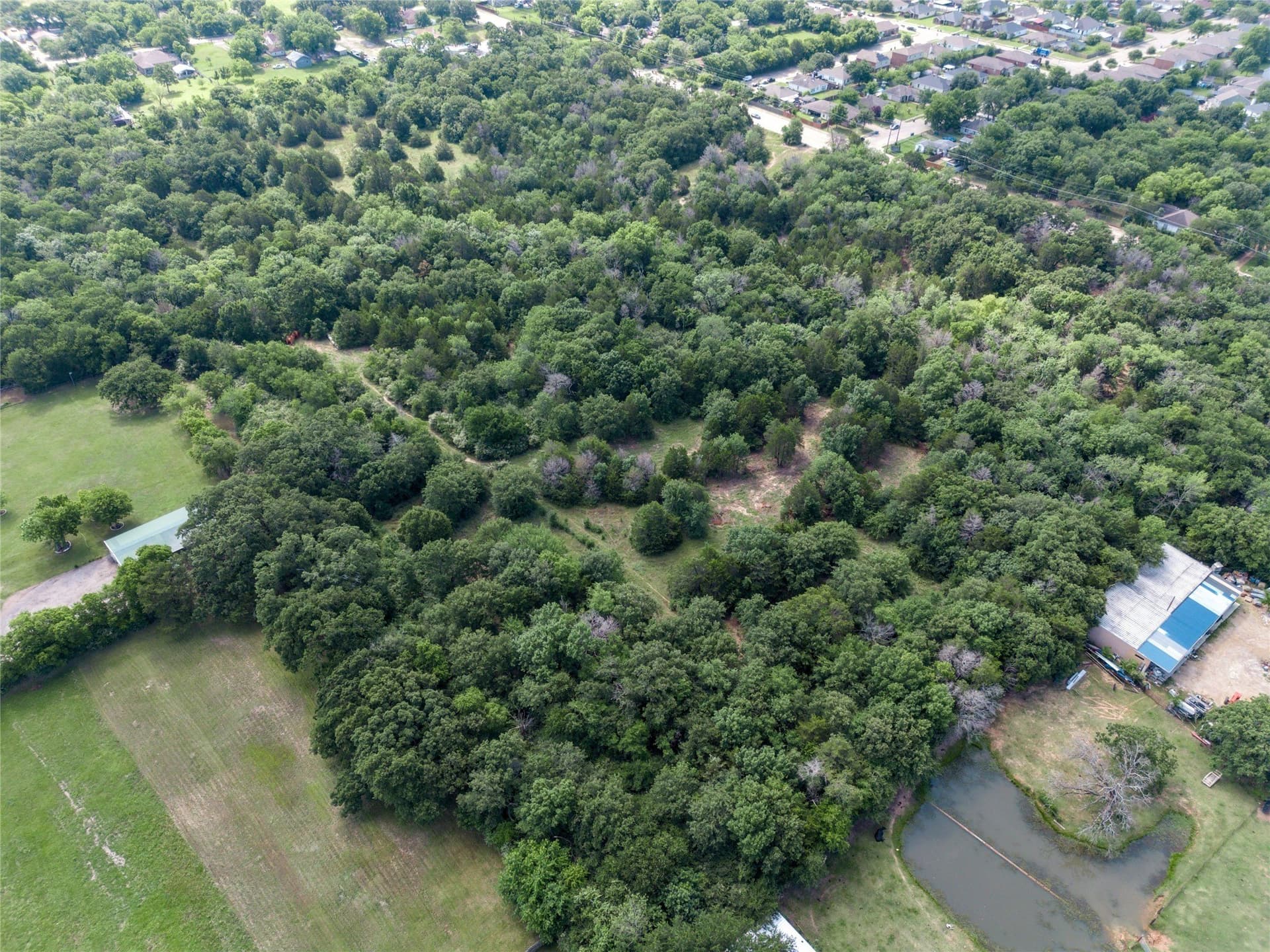 25 acres in Dallas County - photo 5