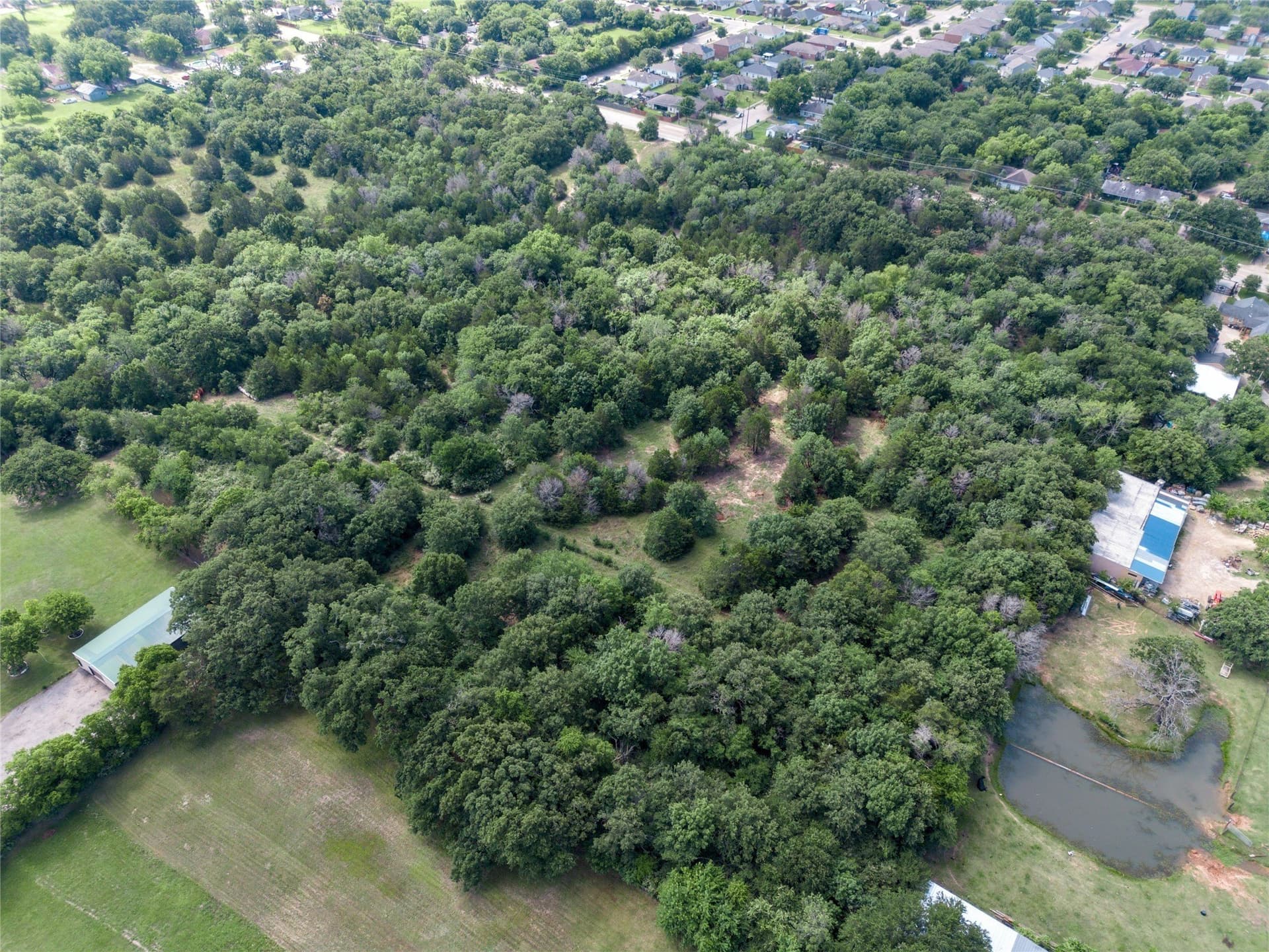 25 acres in Dallas County - photo 6