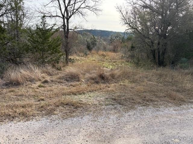 0.26 acres in Burnet County gallery image 2