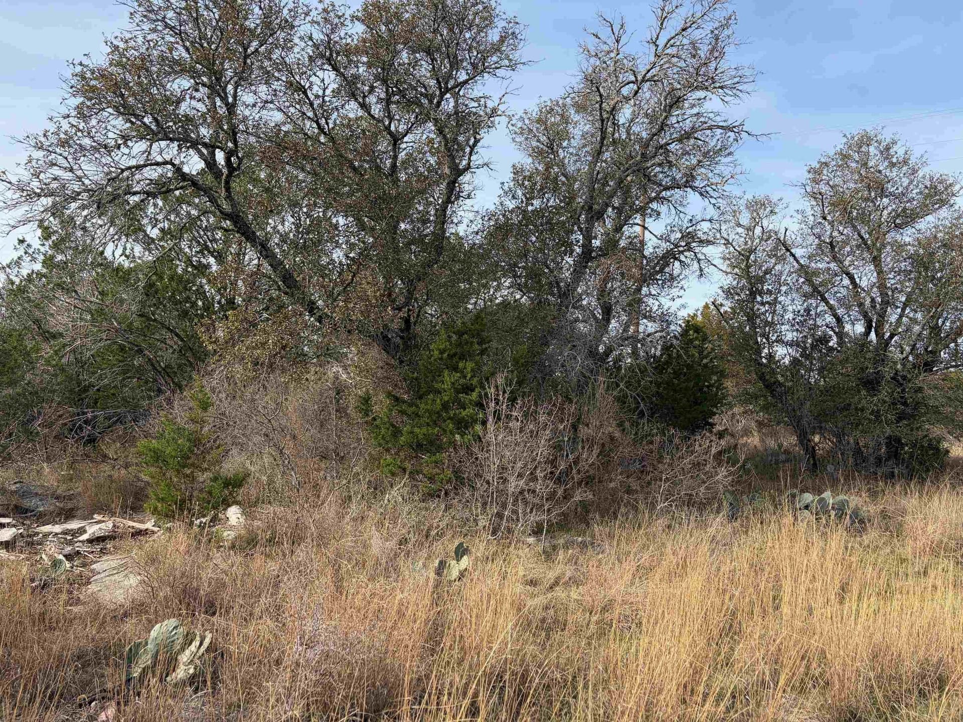 0.26 acres in Burnet County gallery image 4