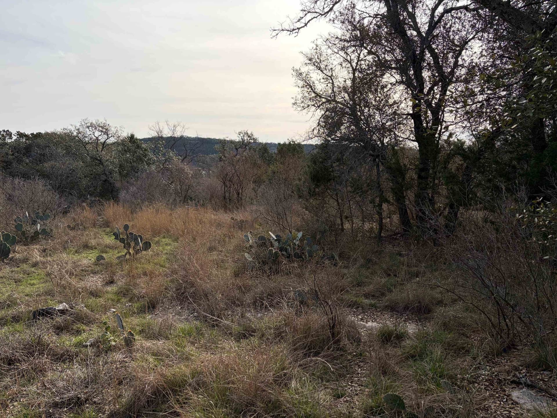 0.26 acres in Burnet County - photo 8