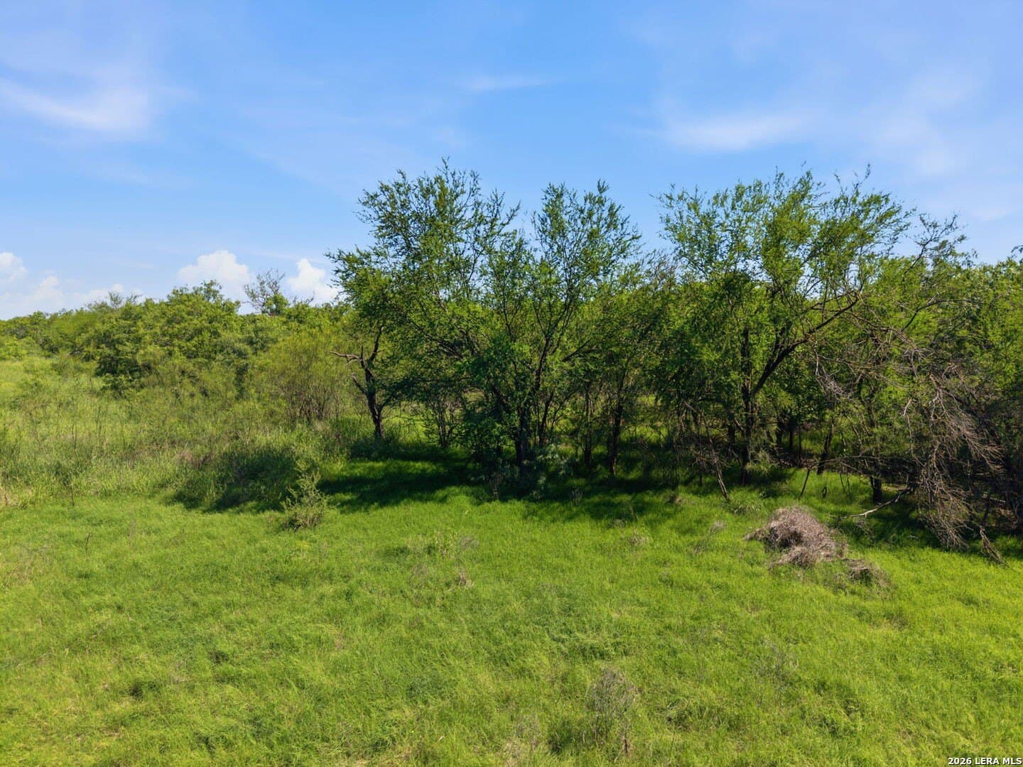 32.42 acres in Wilson County gallery image 2