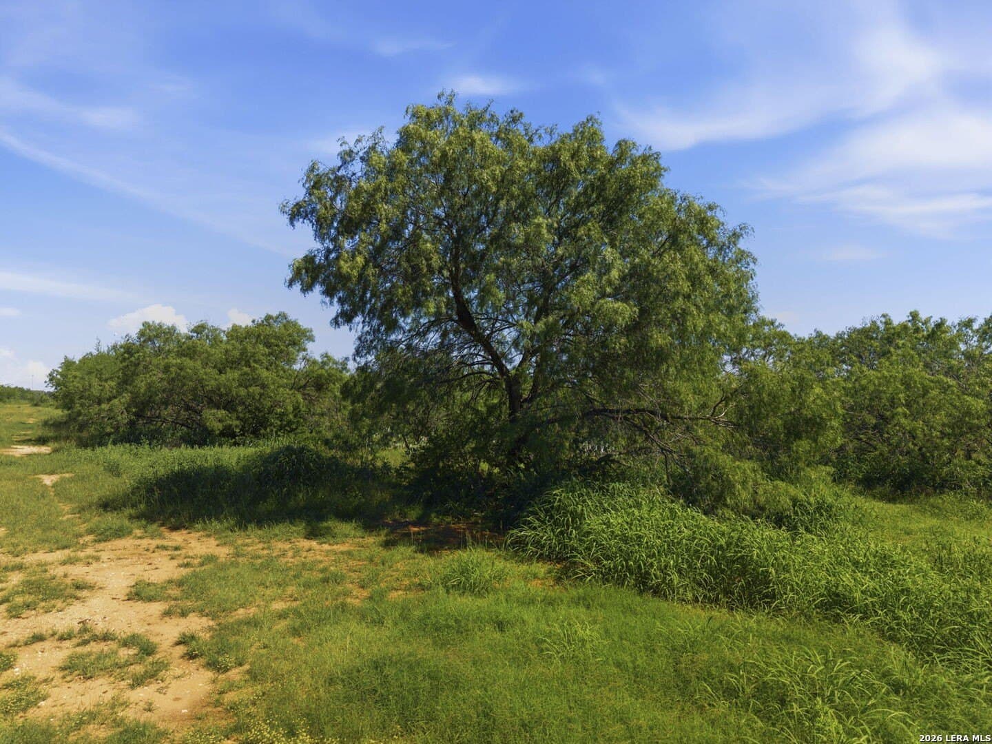 32.42 acres in Wilson County gallery image 4