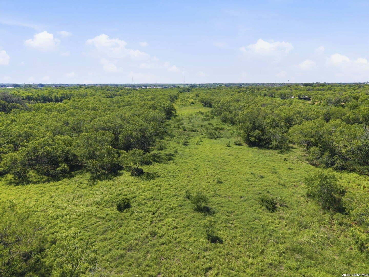 32.42 acres in Wilson County