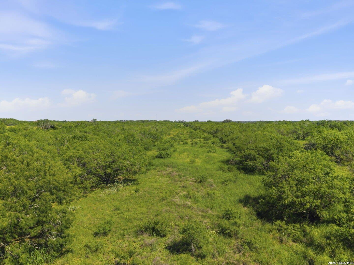 32.42 acres in Wilson County gallery image 3