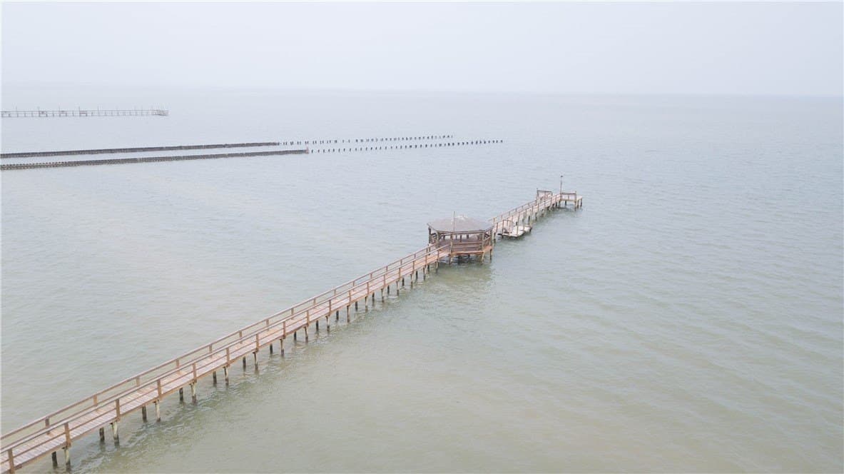 0.23 acres in Aransas County - photo 9