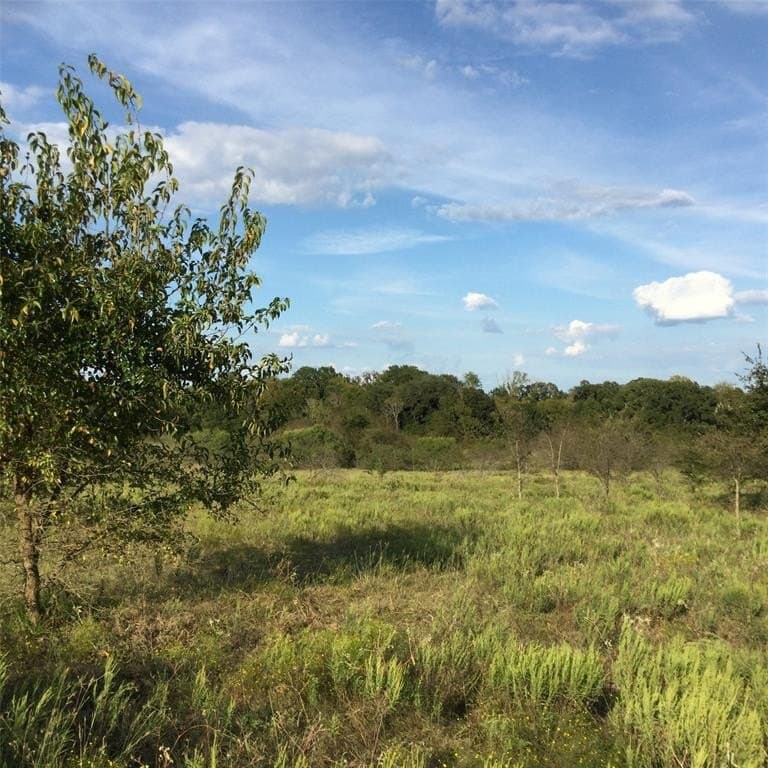 40.22 acres in Navarro County