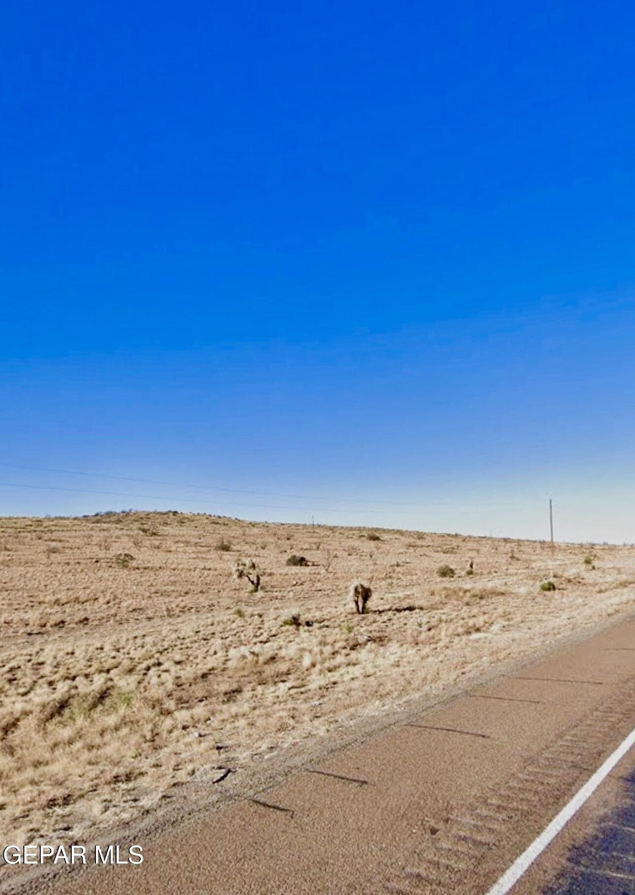 4 acres in El Paso County - photo 2