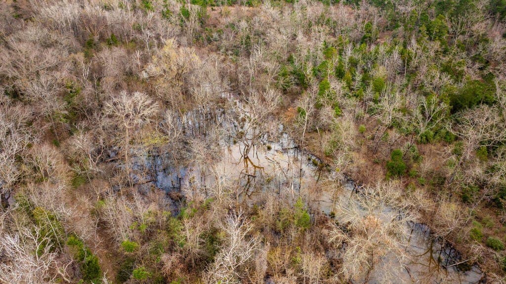 41.63 acres in ANDERSON County - photo 38