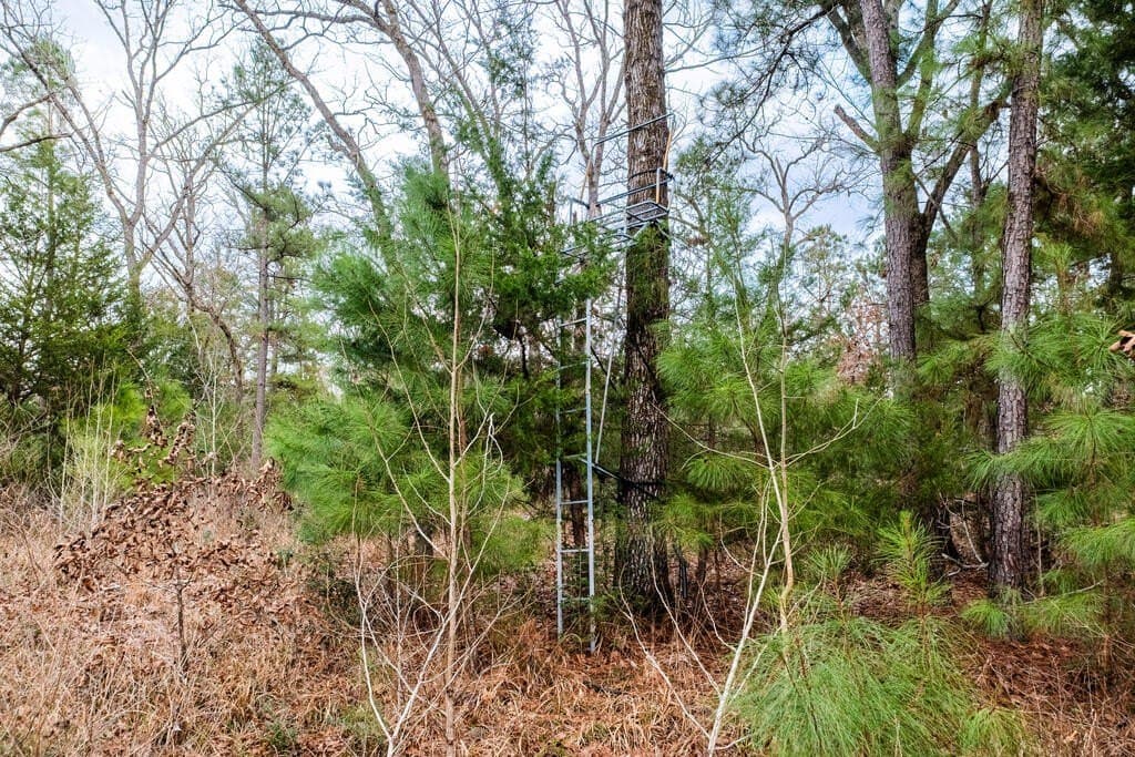 41.63 acres in ANDERSON County - photo 41