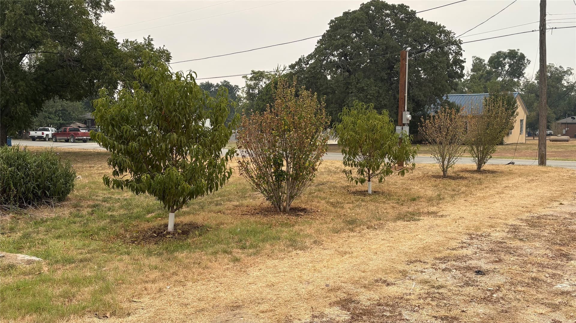 0.58 acres in Comanche County - photo 3