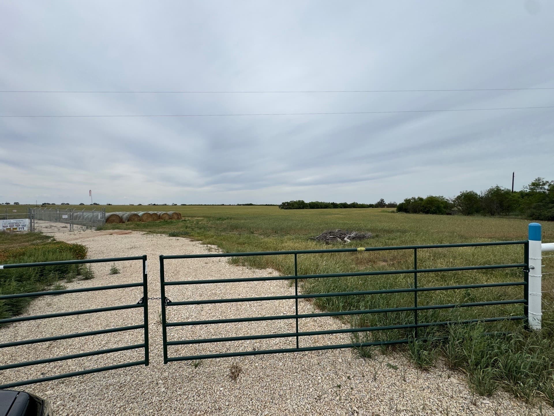 104 acres in Callahan County gallery image 4