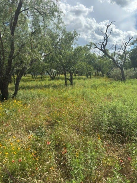 0.57 acres in Mason County gallery image 4