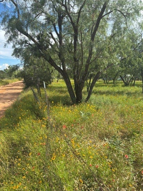 0.57 acres in Mason County featured view