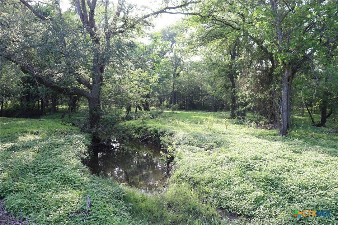 9.96 acres in Caldwell County gallery image 4